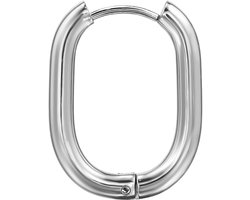 23 mm Roestvrij Stalen Huggie Creolen