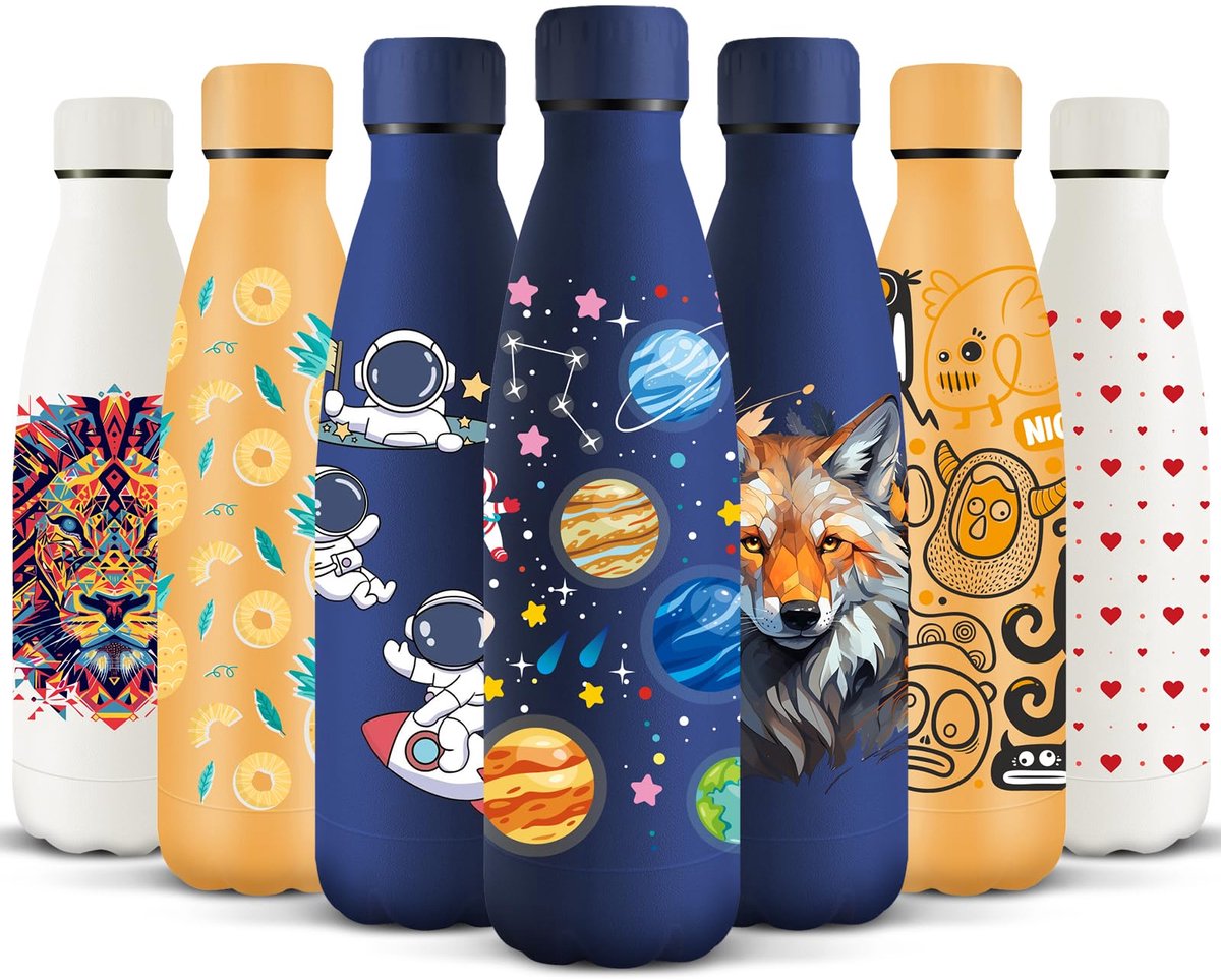 Ibenzoa® Dubbelwandige drinkfles van 500 ml met lekvrije schroefsluiting