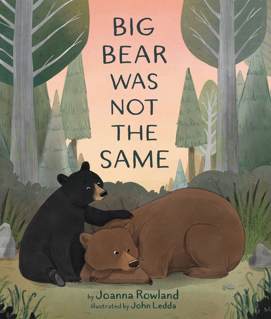 Big Bear Was Not the Same - cover