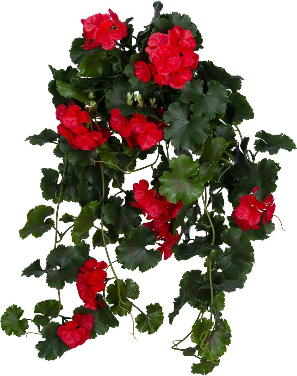 Kunst Hanggeranium 65cm UV rood