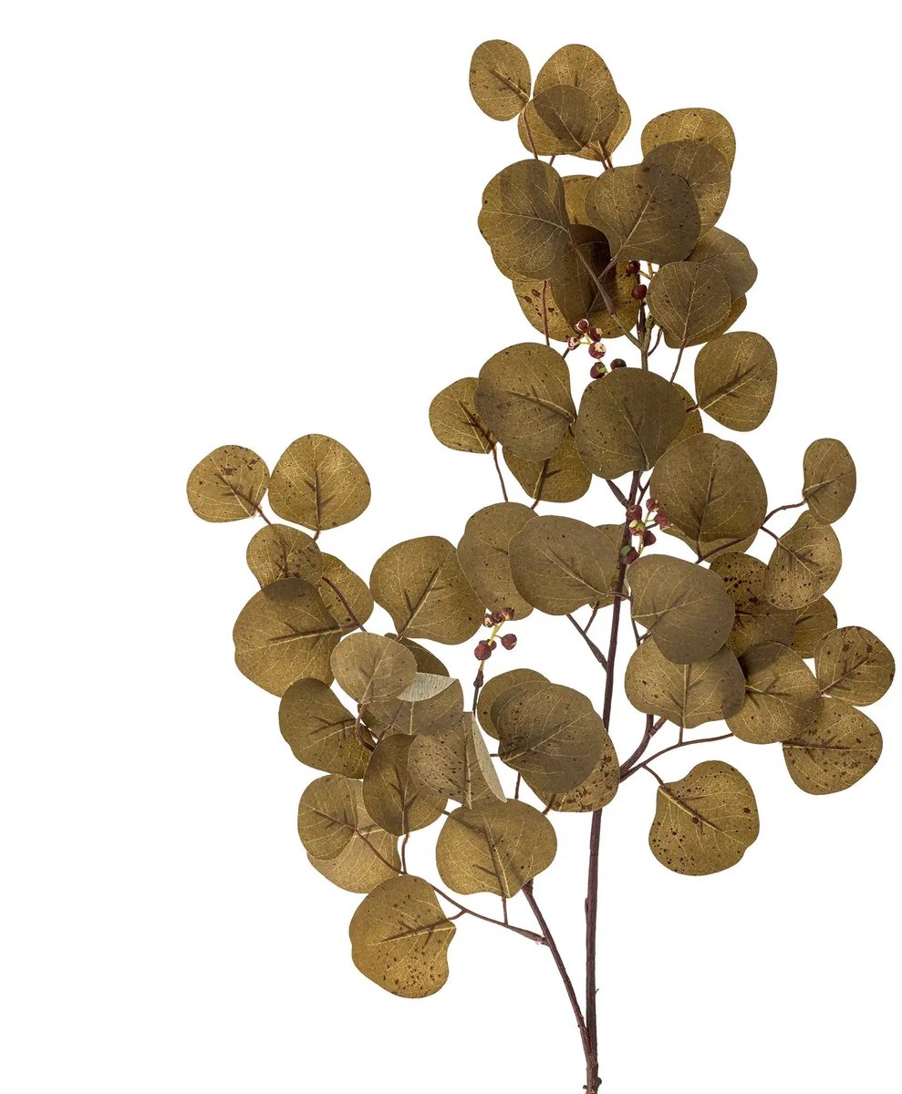 Eucalyptus bruin – 29 x 86 x 29 cm