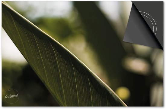 Gros plan d'une nervure de feuille verte avec le logo 'Originele'.