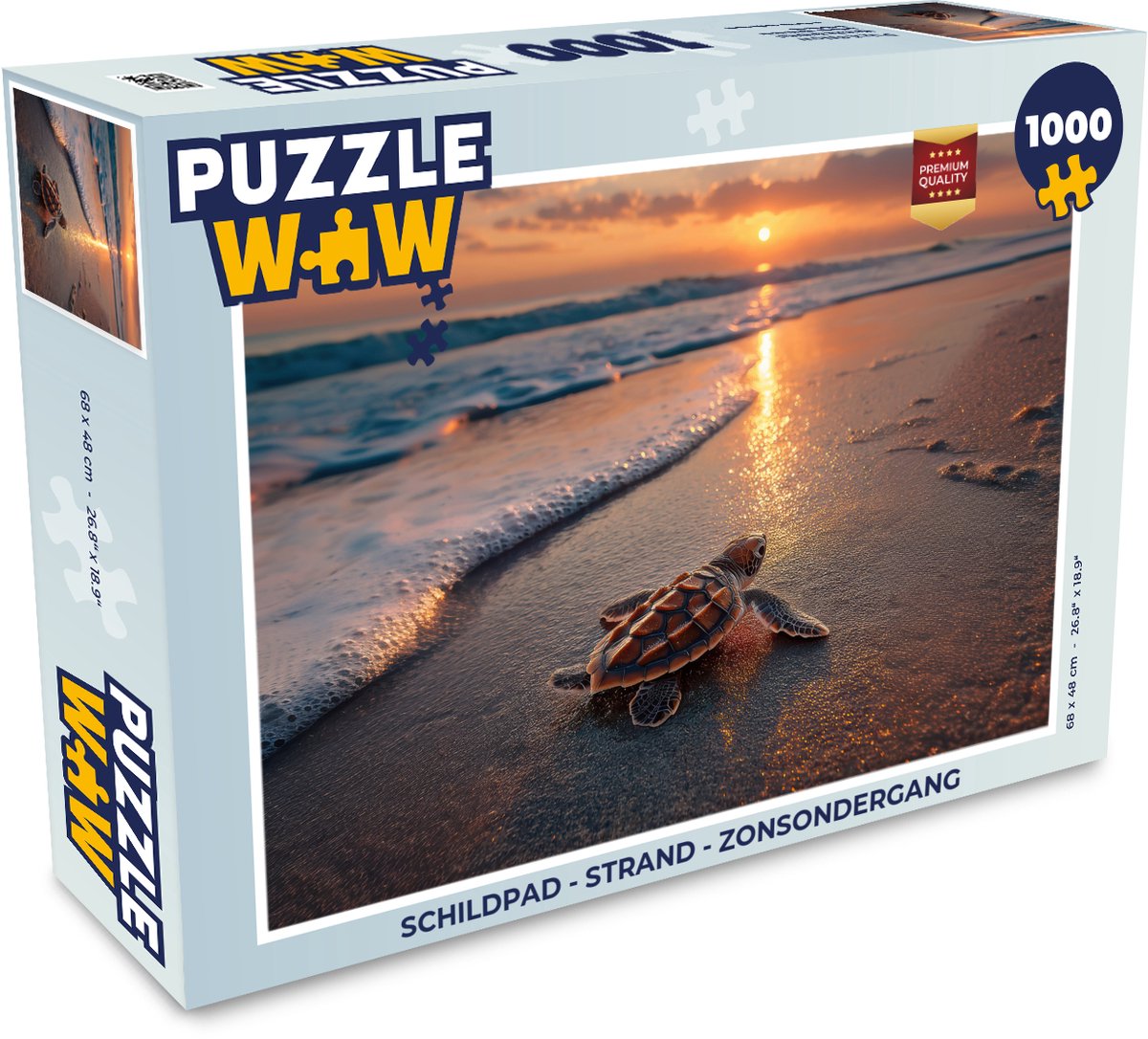 Schildpad - strand - Zonsondergang