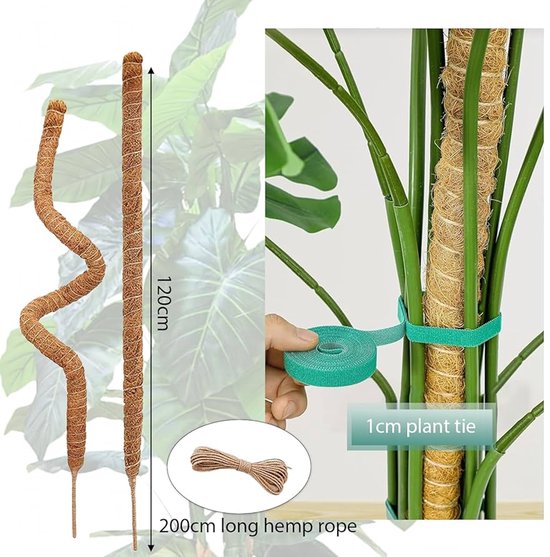 Tuteur pour Monstera grimpante - Tuteur en fibre de coco et mousse de 120  cm - Tuteur... | bol