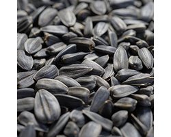 Zonnebloempitten 25 kg - Vogels Voeren Het Hele Jaar Door