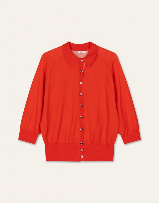 Viburnum Vest- maatXXL