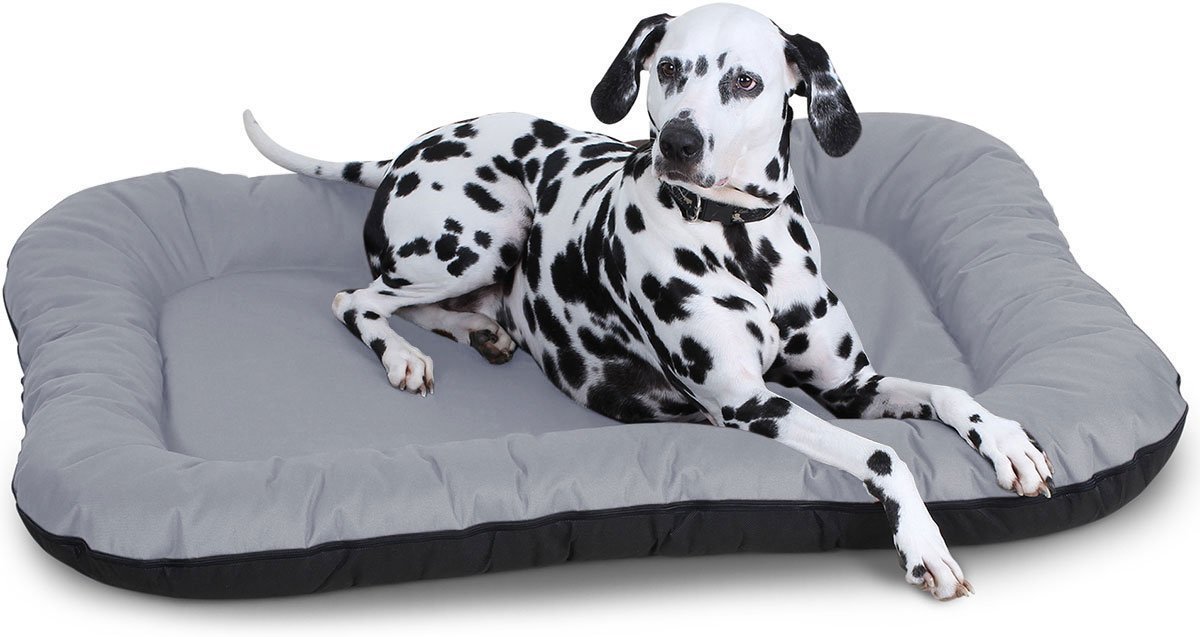 Knuffelwuff waterbestendig hondenbed voor binnen en buiten Lucky XXL 118 x 85cm grijs
