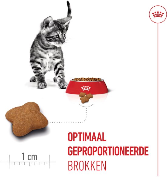 Een speelse kitten met een rode voerbak gevuld met brokken. Een stervormige brok is afgebeeld met schaalverdeling van 1 cm.