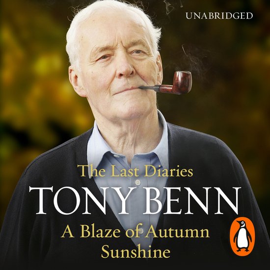 A Blaze of Autumn Sunshine - cover