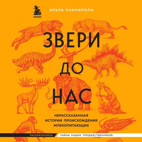  - cover