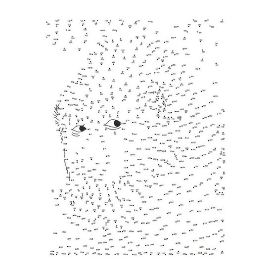 Extreme punt naar punt Dieren - cover