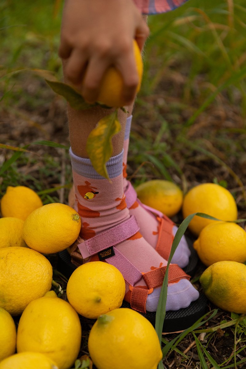Sticky Lemon - sokken - boerderij - citroen