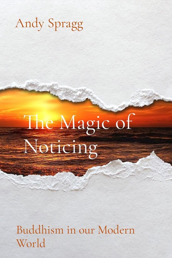 The Magic of Noticing - cover