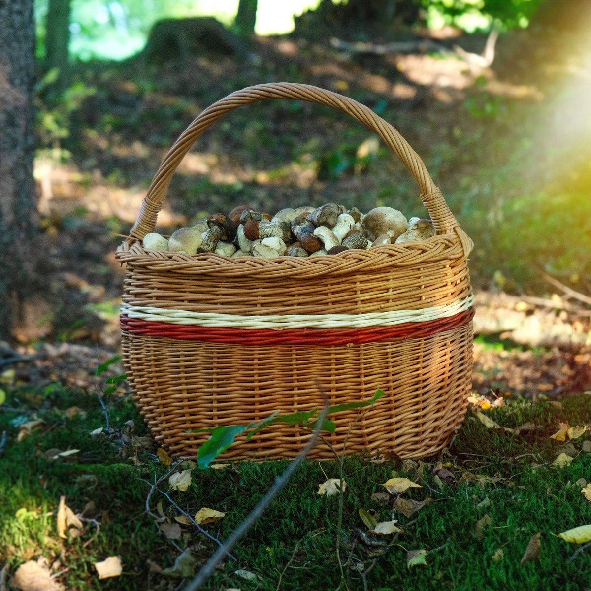 KADAX Ovaal Rieten Mand Bruin - Robuuste Wilgenhout Mand Voor Paddenstoelen, Boodschappen En Picknick | 43 X 30 X 43 Cm