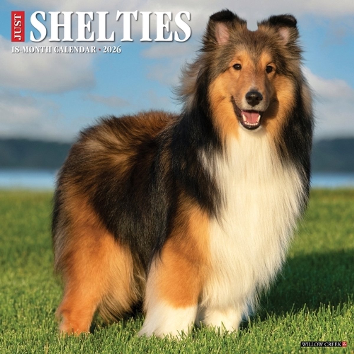 Shetland Sheepdog Kalender 2026