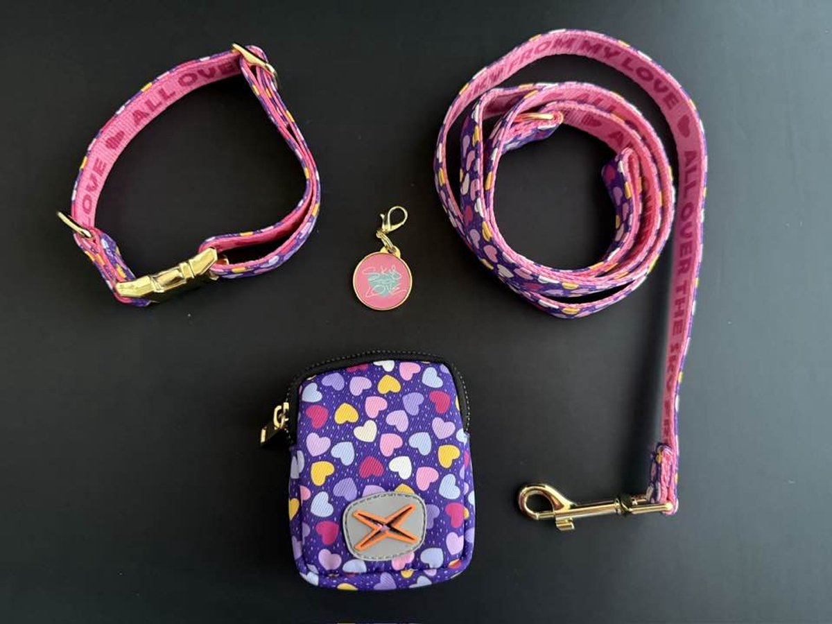 Halsband set 4-delig voor hond – paarse hondenhalsband met gekleurde hartjes - L - halsomvang 38-63 cm - breedte 2,5 cm - metalen goudkleurige accessoires - dubbelzijdig bedrukt - halsband, riem, bijpassende sleutelhanger en poepzakjeshouder