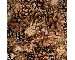 Back Zoo Nature- Bodembedekking- Small Forest Pine Cones- Denneappels- Siervogels