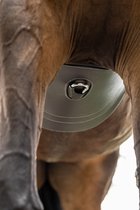 Sangle Horsegear avec rabat ventral Zwart - 125