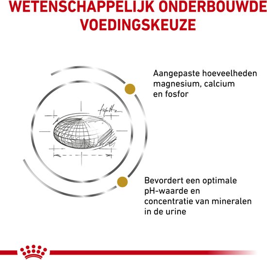 Royal Canin Urinary S/O - Kattenvoer Brokjes - 6 kg - Veterinary Diet