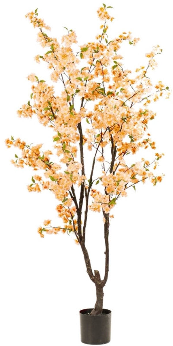 Emerald - Kunstboom Kersenbloesem 210cm peach - Kunstplant voor binnen - Japanse Sakura - Bloesemboom - Cherry Blossom
