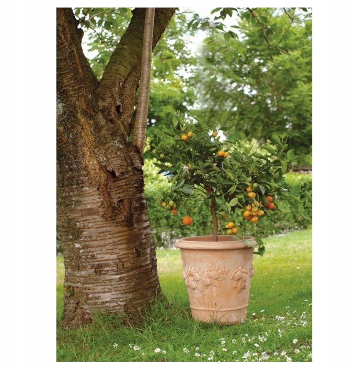 Terracotta Bloempot Toscane Stijl 39x40 cm