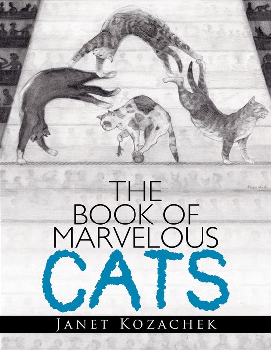 The Book of Marvelous Cats - cover
