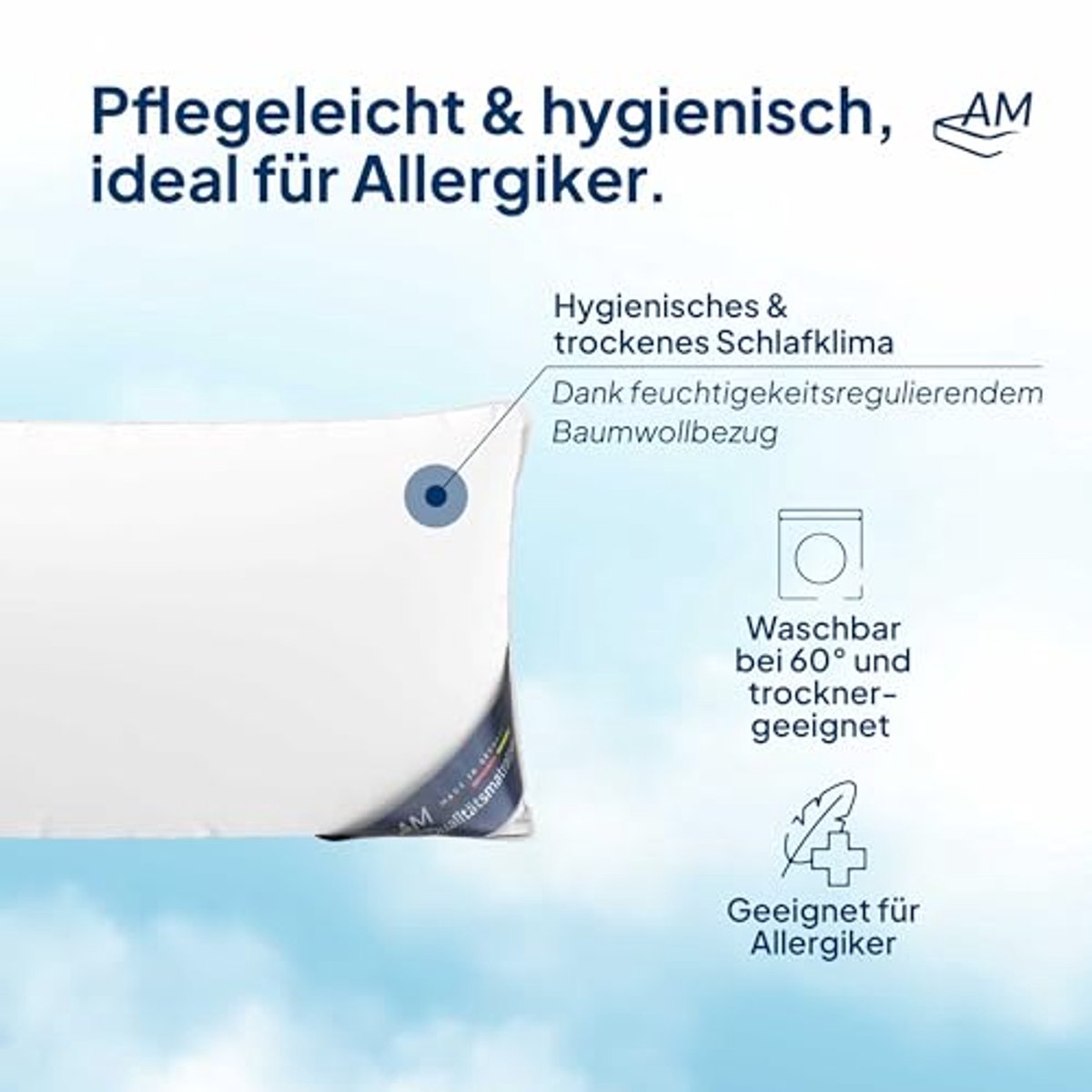 Hoofdkussen 45x70 cm - 3 compartimenten met 100% natuurlijk dons - Extra zacht en ademend