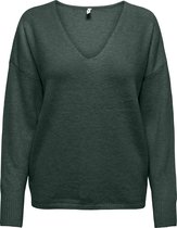 ONLY - ONLRICA L/S V-NECK PULLO KNT NOOS - Dames - Gebreide truien