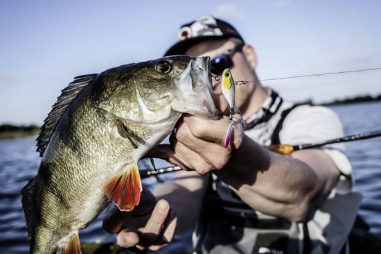 Quantum Spin Jig UV Active 14g 3.7cm - Kleur : Firetiger van Quantum — afbeelding 3