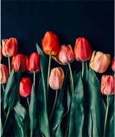 Canvas Schilderij Red Tulips