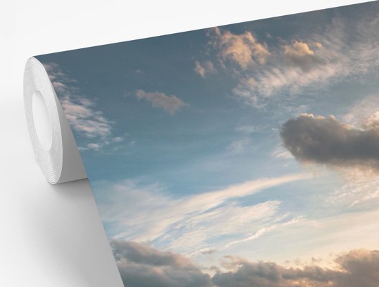 Papier peint Papier peint photo en vinyle - Prairie en Thaïlande largeur 390 cm x hauteur 260 cm - Tirage photo sur papier peint (disponible en 7 tailles)