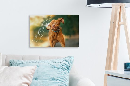 Canvas Schilderij Nat - Hond - Water - 30x20 cm - Wanddecoratie