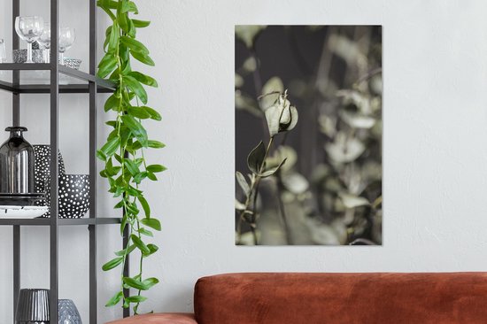 Toile de branches d'eucalyptus séchées 40x60 cm - Tirage photo sur toile (Décoration murale salon / chambre) / Peintures Fleurs sur toile