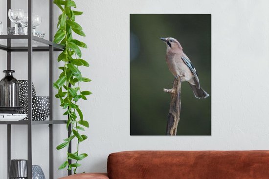 Jay sur une branche 60x90 cm - Tirage photo sur toile (Décoration murale salon / chambre)