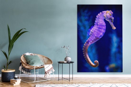 Canvas schilderij 120x180 cm - Wanddecoratie Zeepaardje - Aquarium