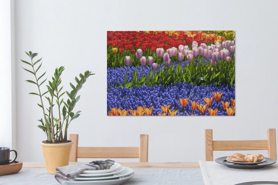 Tulipes et jacinthes colorées dans le Keukenhof en Holland méridionale 60x40 cm - Tirage photo sur toile (Décoration murale salon / chambre) / Peintures Fleurs sur toile