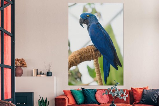 Ara hyacinthe sur toile bâton 2cm 120x180 cm - Tirage photo sur toile (Décoration murale salon / chambre) XXL / Groot format!