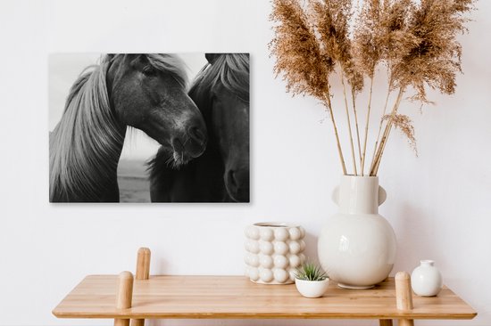 Gros plan de deux chevaux (noir et blanc) sur toile 2cm 40x30 cm - petit - Tirage photo sur toile (Décoration murale salon / chambre) / Animaux sauvages Peintures sur toile