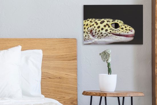 Gros plan sur toile gecko léopard 2cm 30x20 cm - petit - Tirage photo sur toile (Décoration murale salon / chambre) / Animaux sauvages Peintures sur toile