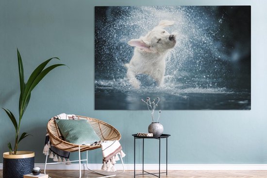Canvas schilderij 150x100 cm - Wanddecoratie Labrador schudt water van zich af - Muurdecoratie woonkamer - Slaapkamer decoratie - Kamer accessoires - Schilderijen