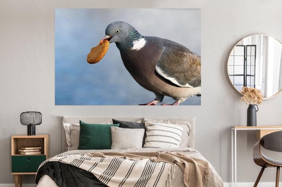 Un vilain pigeon avec un biscuit dans la bouche Poster 180x120 cm - Tirage photo sur Poster (décoration murale salon / chambre) / Poster Vogels XXL / Groot format!