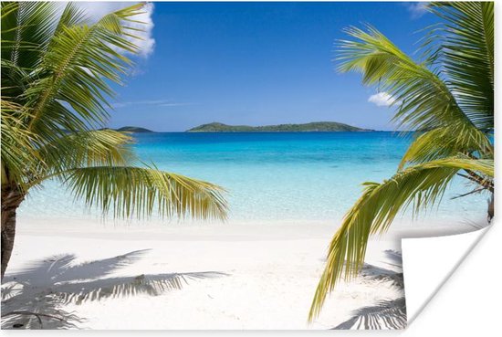 Poster Tropische palmen op het strand