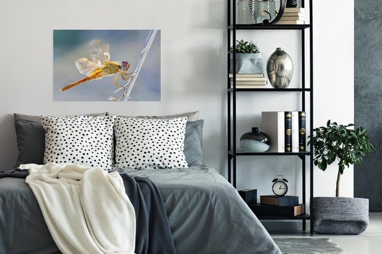 Poster Libelle aan een spriet in Camargue - 60x40 cm
