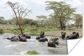 Poster Afrikaanse olifanten in het water - 180x120 cm XXL