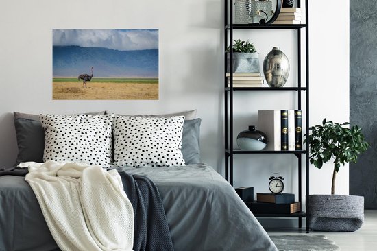 Autruche au milieu de la savanne du cratère du Ngorongoro en Tanzanie Poster 90x60 cm - Tirage photo sur Poster (décoration murale salon / chambre)