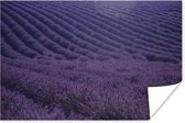 Bloeiende lavendelveld Poster 30x20 cm - klein - Foto print op Poster (wanddecoratie woonkamer / slaapkamer)