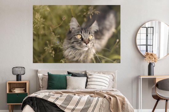 Un chat Maine Coon entre les hautes herbes Poster 180x120 cm - Tirage photo sur Poster (décoration murale salon / chambre) / Poster Animaux domestiques XXL / Groot format!