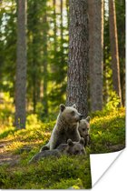 Bruine beren in het bos poster papier 40x60 cm - Foto print op Poster (wanddecoratie woonkamer / slaapkamer) / Wilde dieren Poster