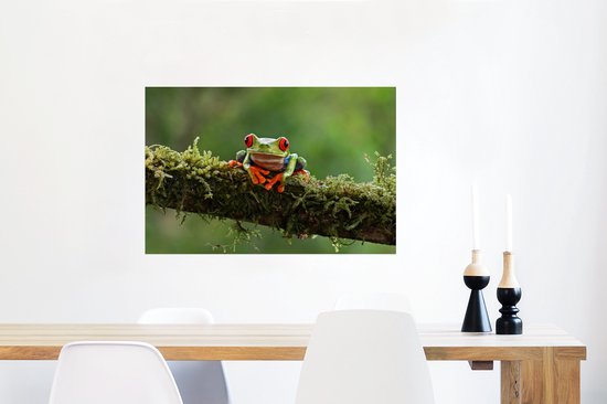 Poster Grenouille aux yeux rouges sur une branche couverte - 60x40 cm