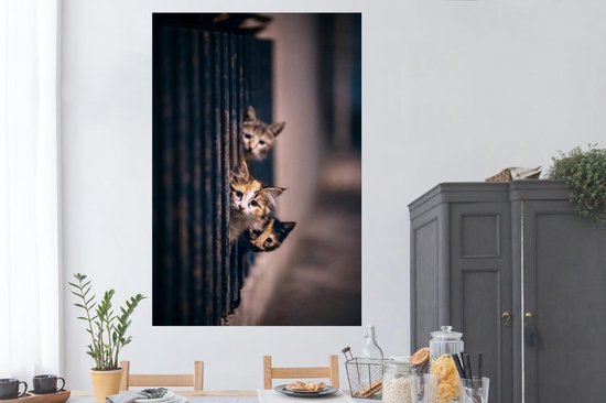 Les Chats regardent curieusement au coin de la rue 120x180 cm XXL / Groot format ! - Tirage photo sur Poster (décoration murale salon / chambre)